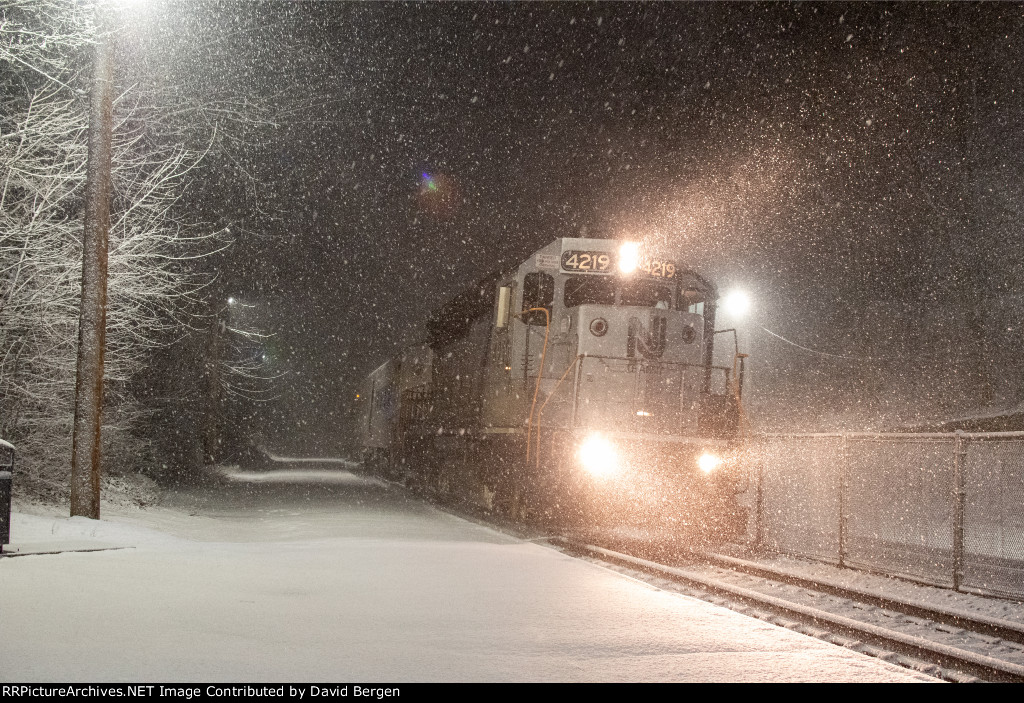 Snowy Kingsland